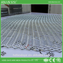 China fornecedor de ferro galvanizado Parede de gesso Mesh with Embossing